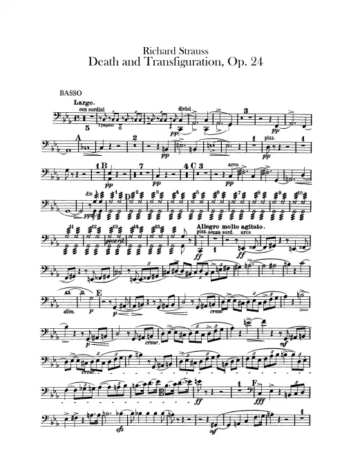 Basses