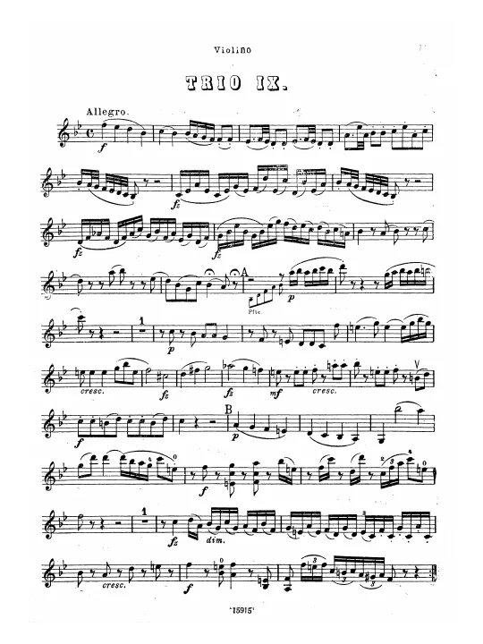 Violin