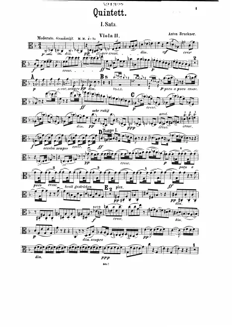 Viola 2