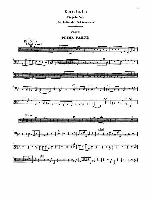 Bassoon