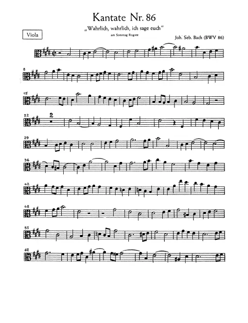 Violas