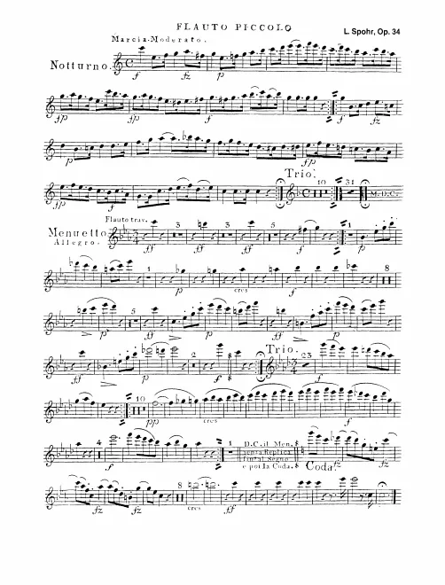 Piccolo 1 (also Flauto 3zo, Flute)