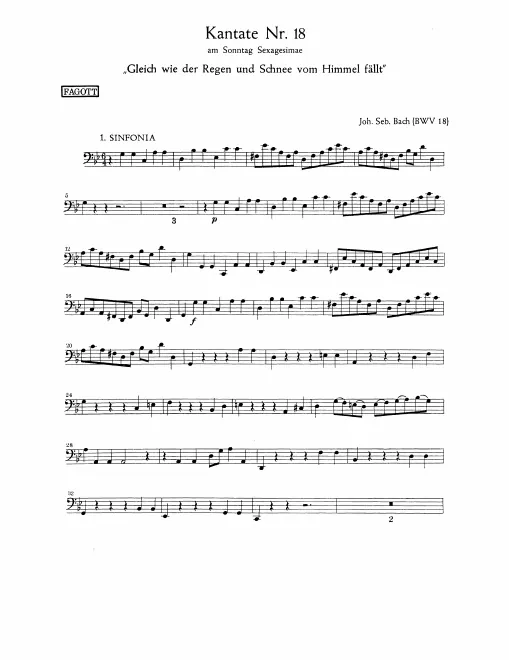 Bassoon