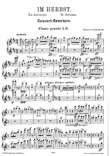 Flute 1/2