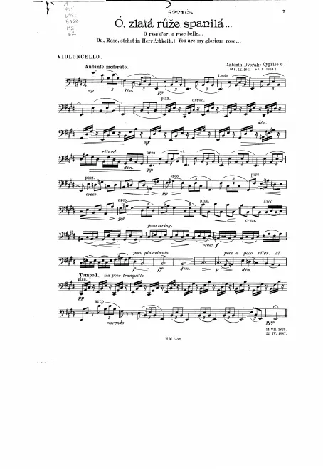 Cello