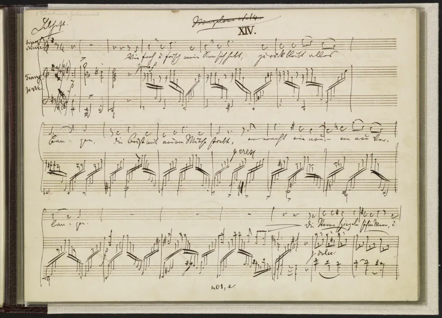Nos.14, 15