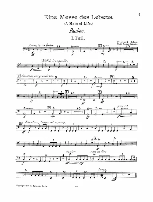 Timpani