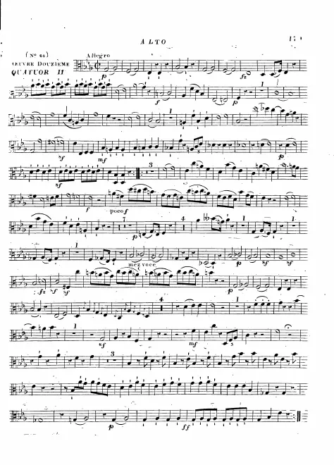 Viola