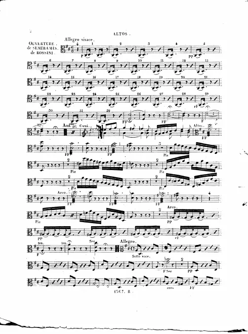 Violas