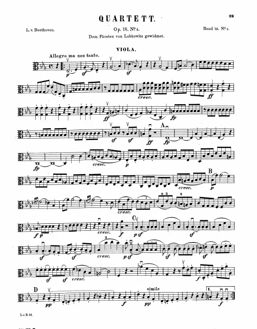 Viola
