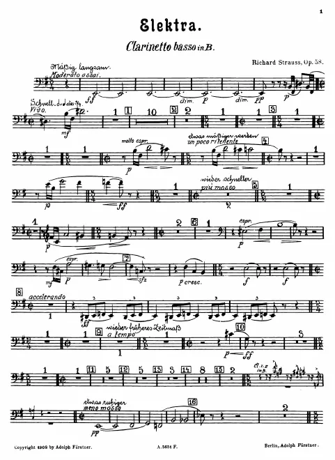 Bass Clarinet