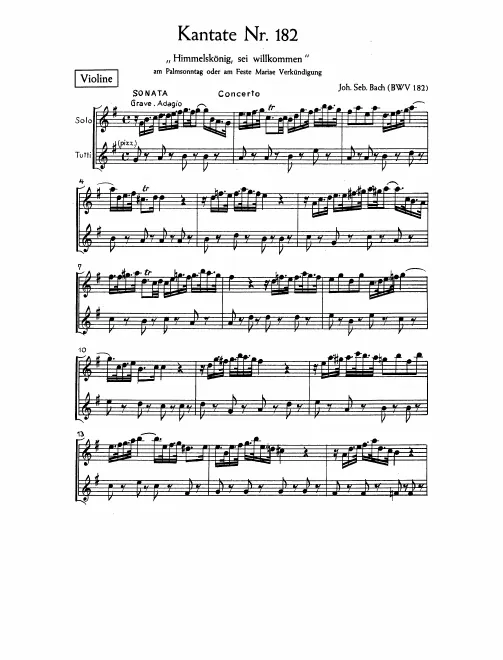 Violin Solo/Violins