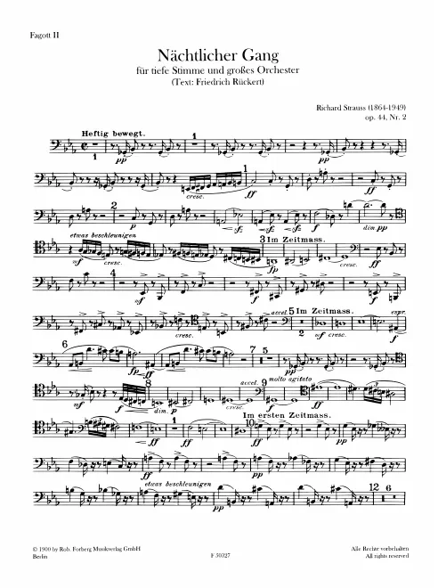 Bassoon 2