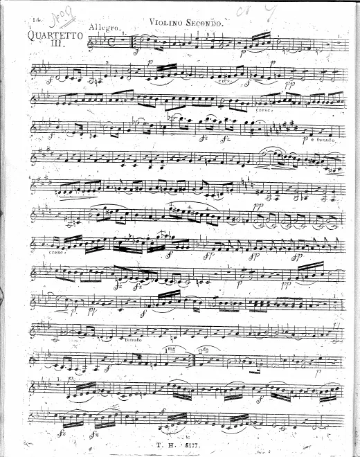 Violin 2