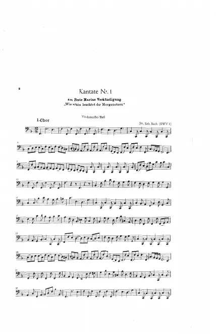Cellos/Basses