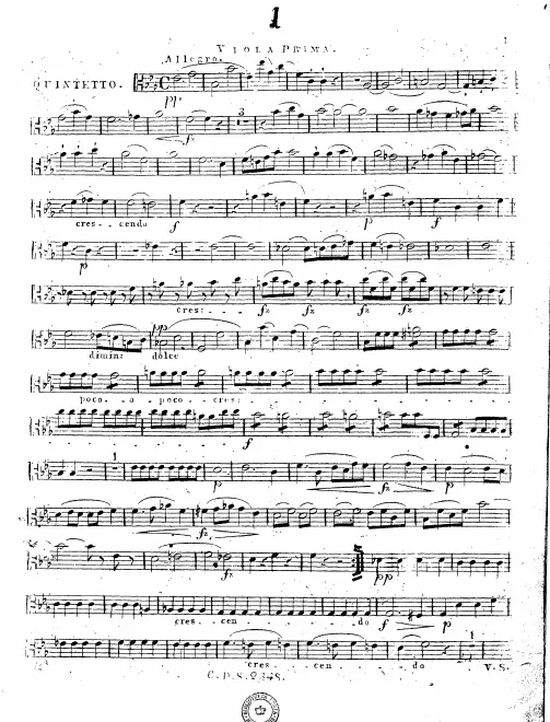 Viola 1