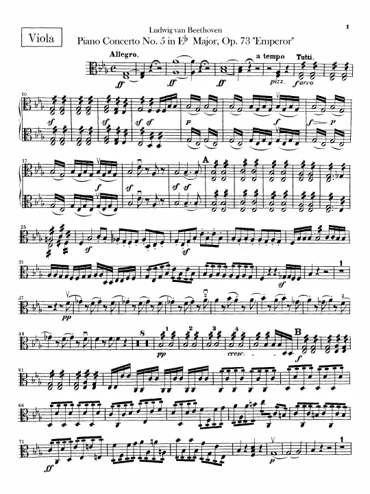 Violas