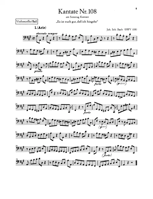 Cellos/Basses