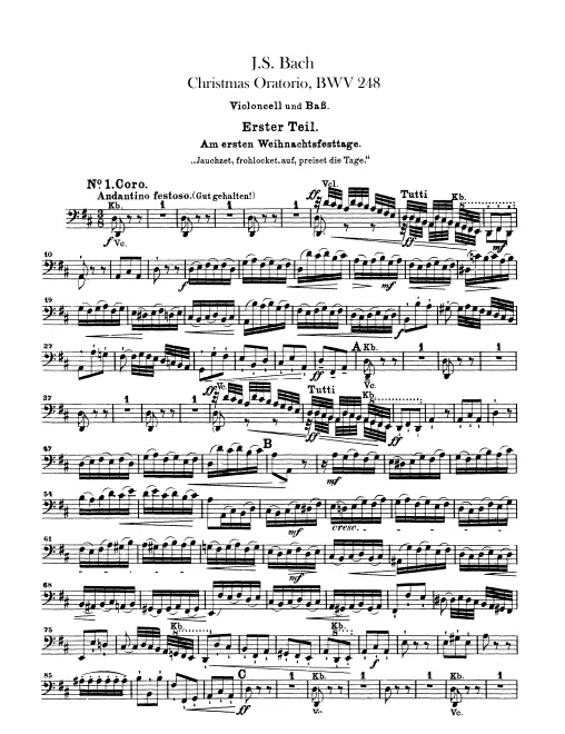 Cellos/Basses