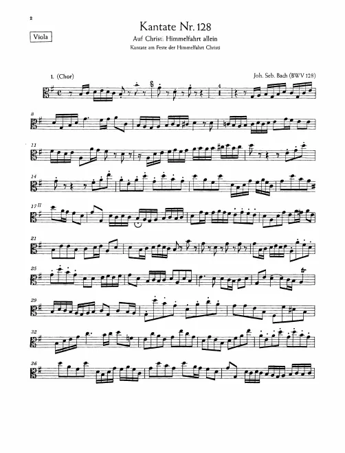 Violas