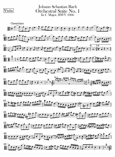 Violas
