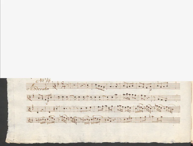 Viola