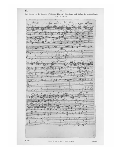Manuscript Pages