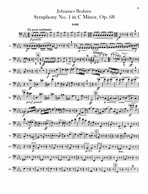 Basses