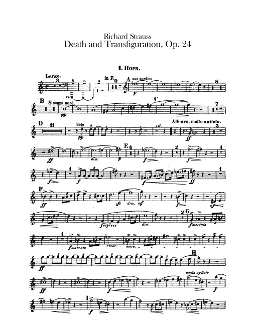Horn 1 (F)