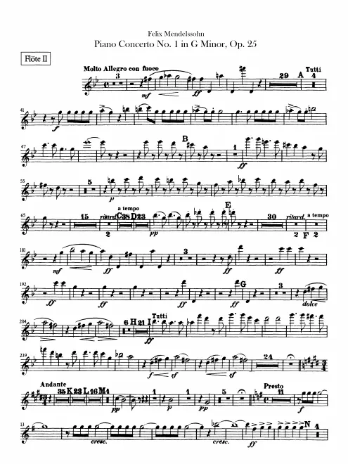 Flute 2