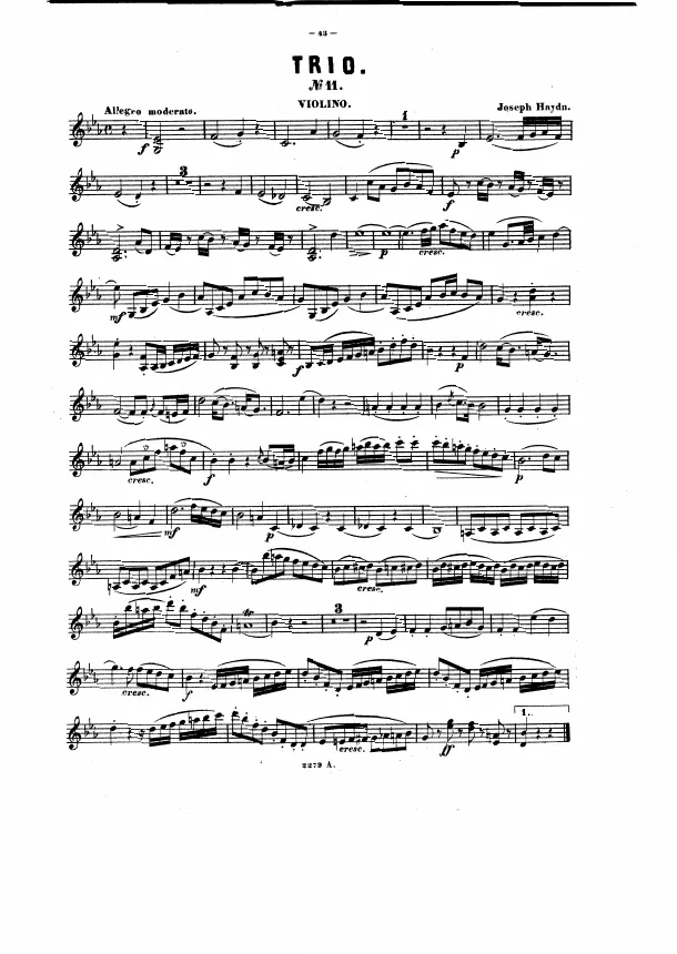 Violin