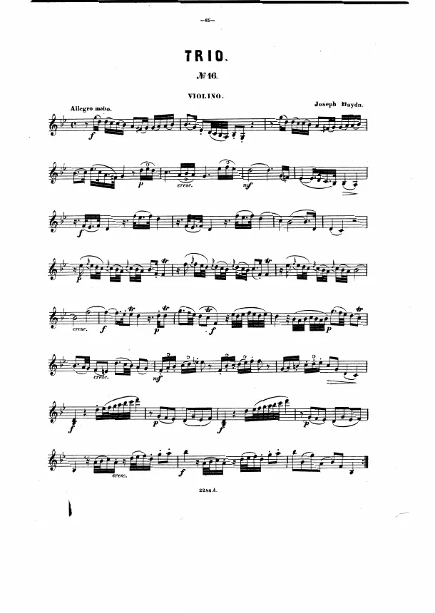 Violin