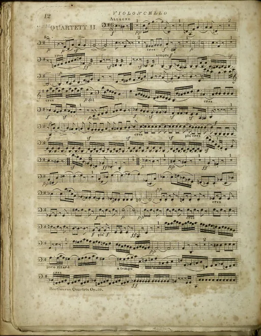 Cello