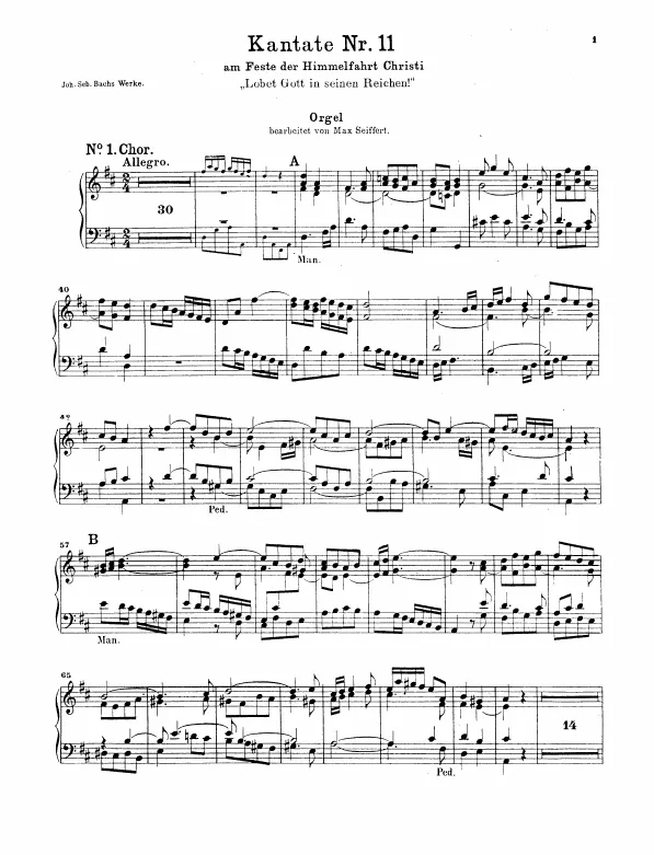 Organ