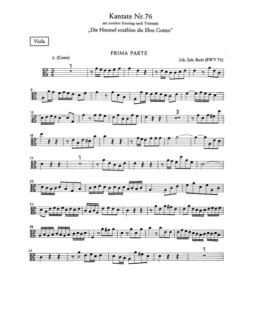 Violas