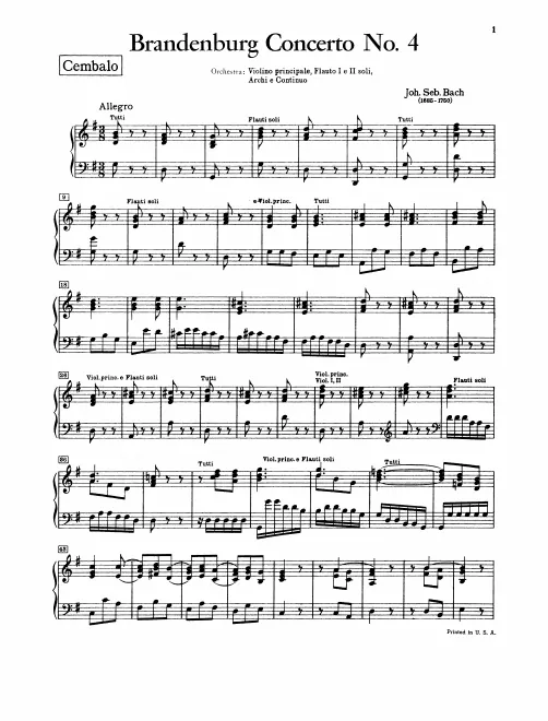 Continuo (Harpsichord)