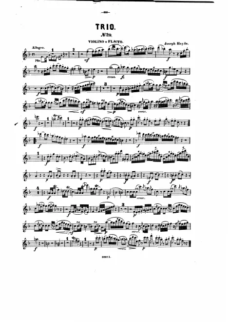 Violin