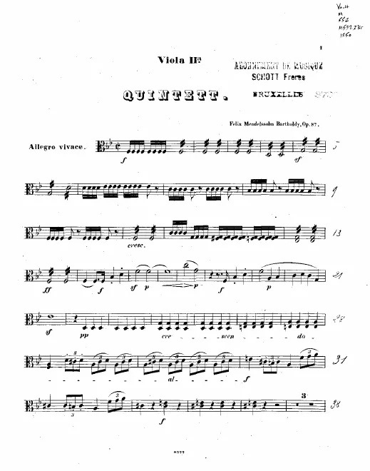 Viola 2