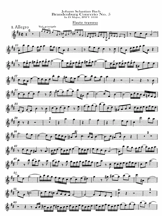 Flute Solo
