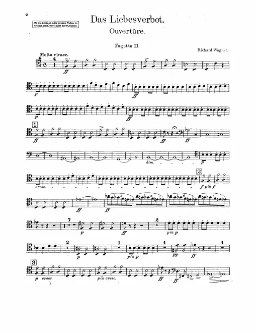 Bassoon 2
