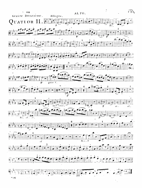 Viola