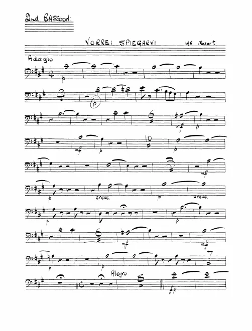 Bassoon 2
