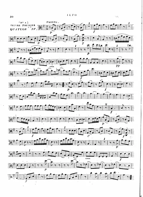 Viola