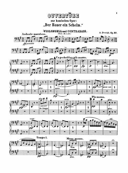 Cellos and Basses