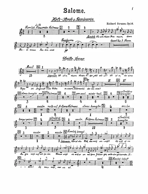 Xylophone/Tambourine