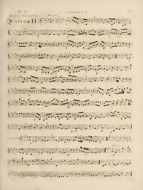 Violin 2
