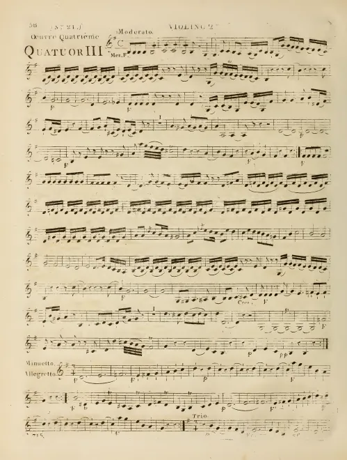Violin 2