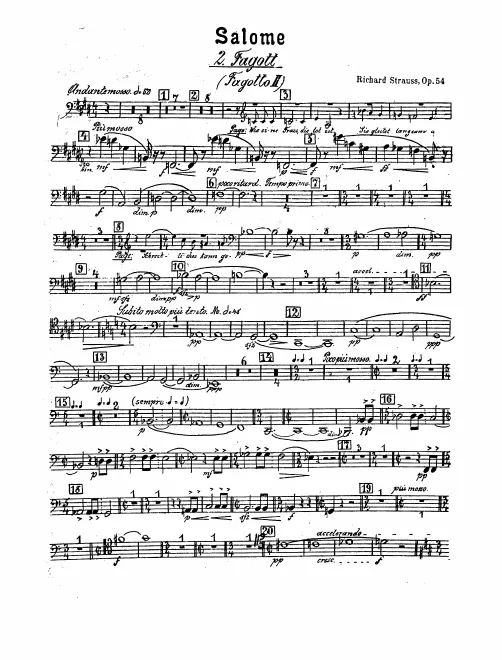 Bassoon 2