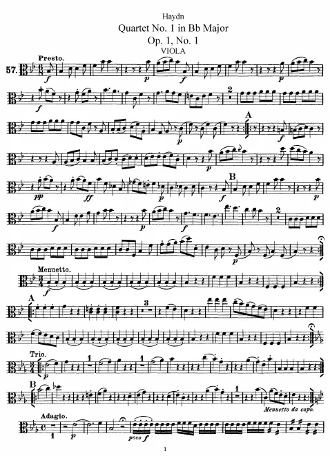 Viola