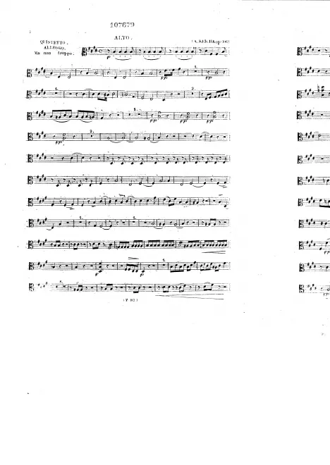 Viola